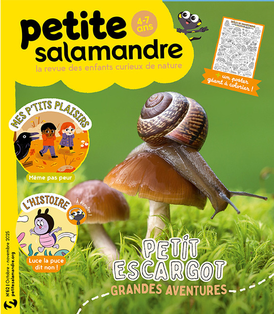 Petit escargot, grandes aventures (n°62)
