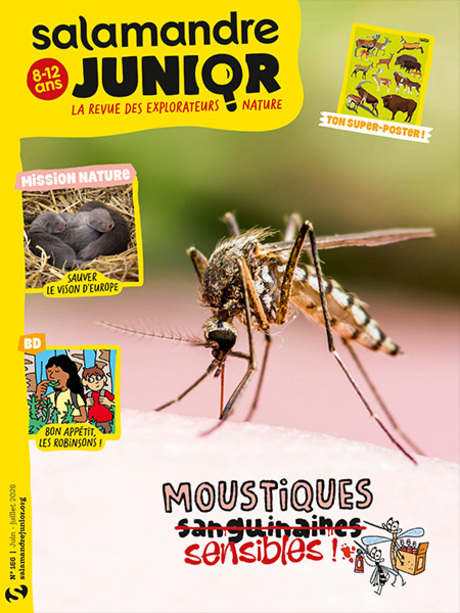 Moustiques, sensibles (n°166)