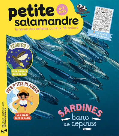 Sardines : banc de copines (n°67)